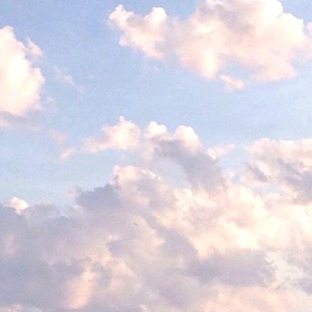 Meet your Posher, Malika